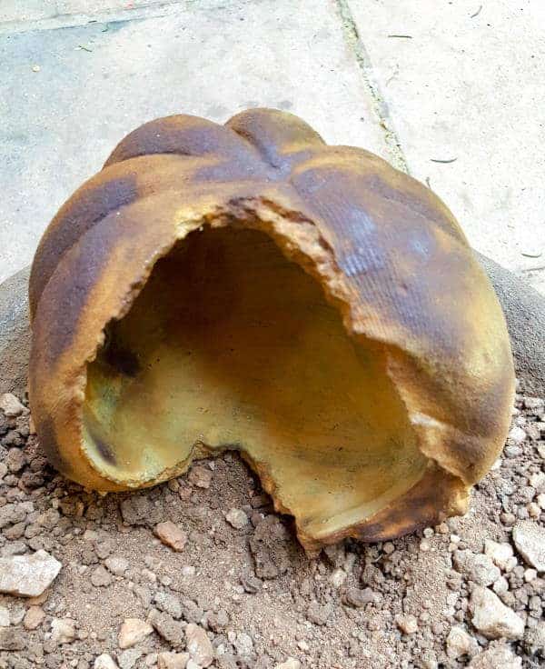 Staining concrete produces this gorgeous mottled effect #concreteplanter #concretepumpkin #stainedconcrete #concreteDIY #acraftymix #howtotutorial #succulentplanter #cementplanter