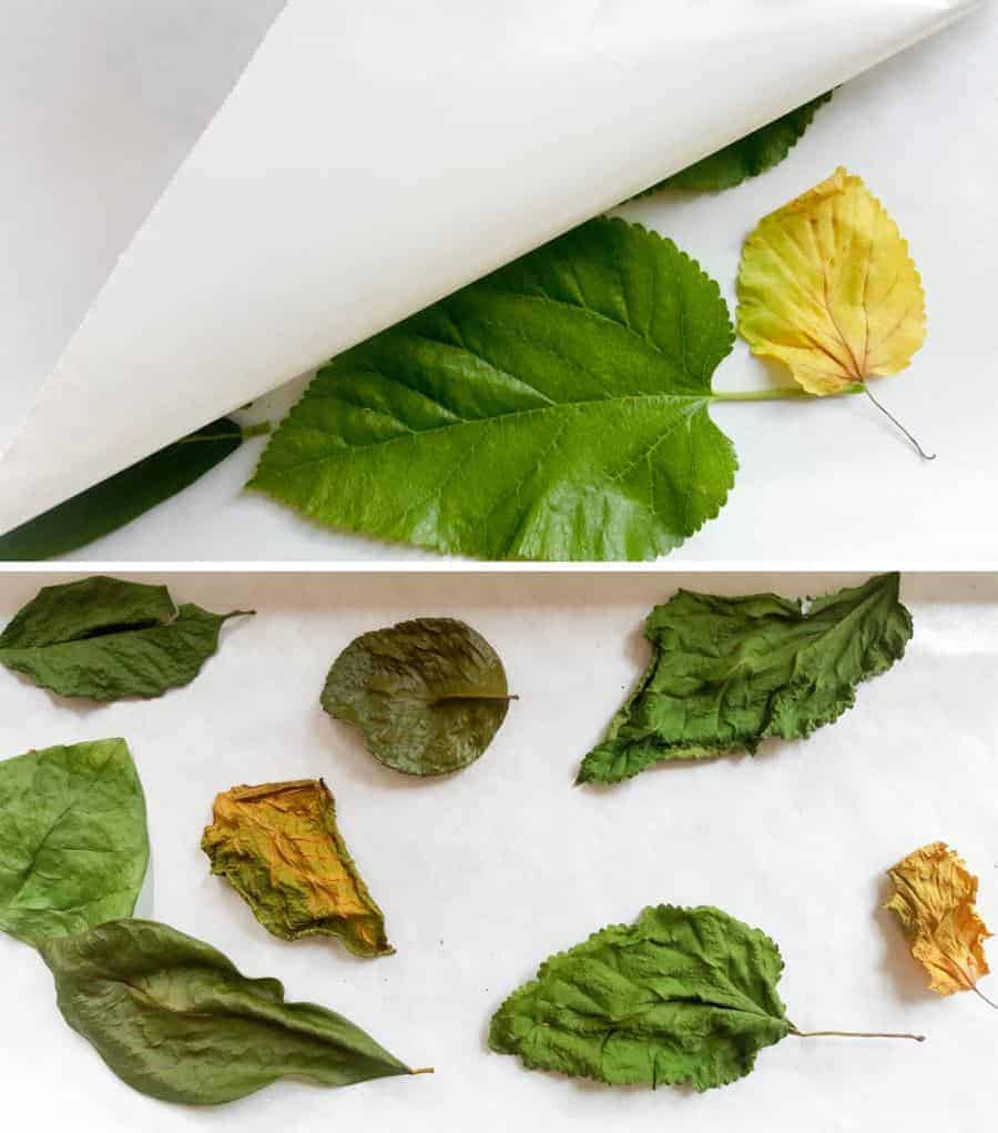 To dry the leaves place them bewteen two layers of wax paper #FairyBowls #FairyDIYCrafts #ACraftyMix #FairyGardens #FairyCRafts #WhimsicalFairyCrafts #SimpleFairyCrafts
