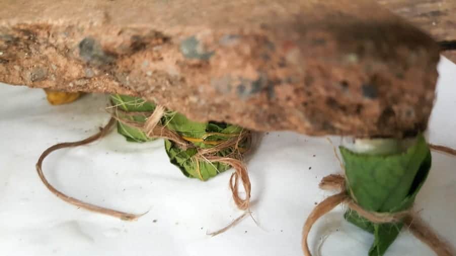 Place something heavy on top of the leaves while they're drying #FairyBowls #FairyDIYCrafts #ACraftyMix #FairyGardens #FairyCRafts #WhimsicalFairyCrafts #SimpleFairyCrafts