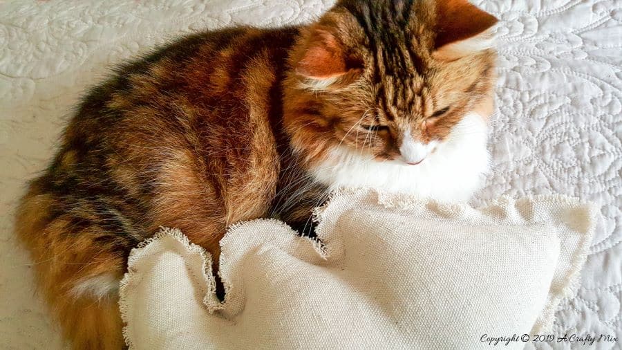 How to make a drop cloth Christmas tree. Purrfect for cuddles