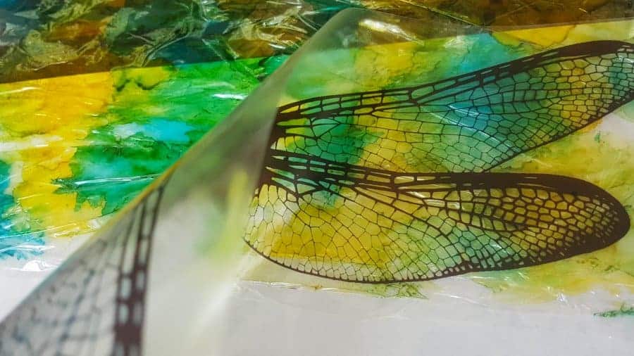 Stick the Clear film down onto the shrinkwrap #DragonflyWingsTempalte #DragonflyWingsDIY #ButterflyWings #ACraftyMix #DIYDragonfltWings #AlcoholInkCrafts #AlcoholInk #CraftTutorial