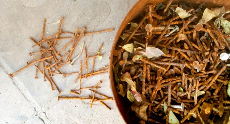 A collection of rusty nails we use in our craft projects