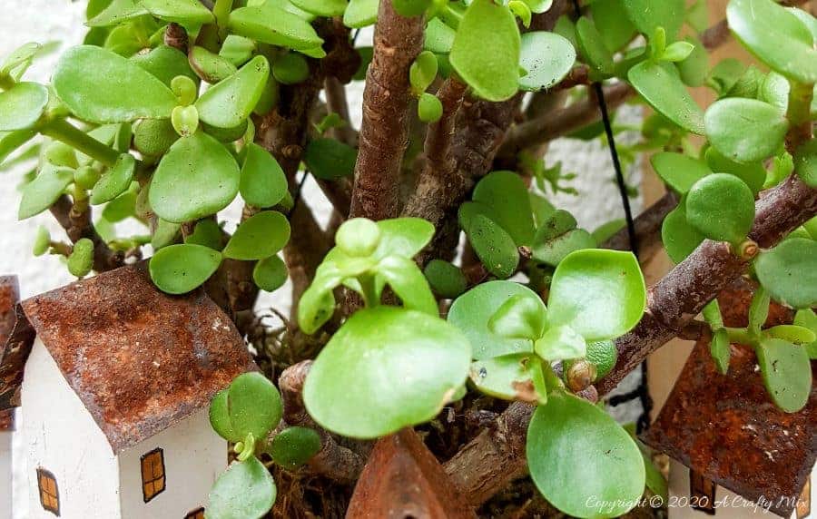 Take your moss ball string garden to the next level with this cute kokedama fairy village. Easy to make and customize. #EcoFriendly #Kokedama #FairyVillage #ACraftyMix #EasyGardenCraft #MossBalls #SpekBoom #kokedamaIdeas #StringGarden #IndoorPlants