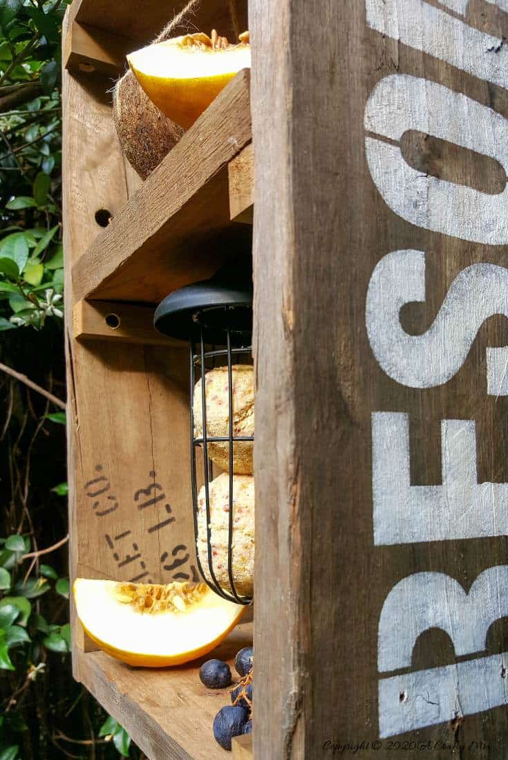 A DIY bird feeder is a great way to make your feathered friends feel at home and look after them when food sources are scarce. This rustic two tier bird feeder is quick to put together and the tiers make it easy to serve them a smorgasbord of treats too. #DIYBirdFeeder #RecycledBirdFeeder #RusticBirdFeeder #aCraftyMix #Woodenbirdfeeder #PalletBirdFeeder #UniqueBirdFeeder
