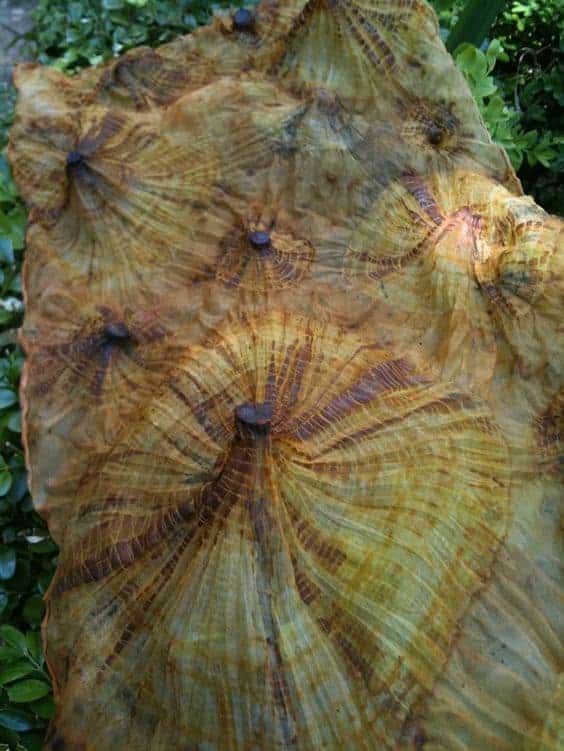 We searched high and low to find the most amazing rusty nail repurpose ideas and tutorials for you. So don&rsquo;t throw them away until you&rsquo;ve seen all the crazy creative things you can do with them. #rustynail #repurpose #recycle #DIYtutorial #acraftymix #repurposetutorials #rustynailideas #rustynailcrafts #repurposednails