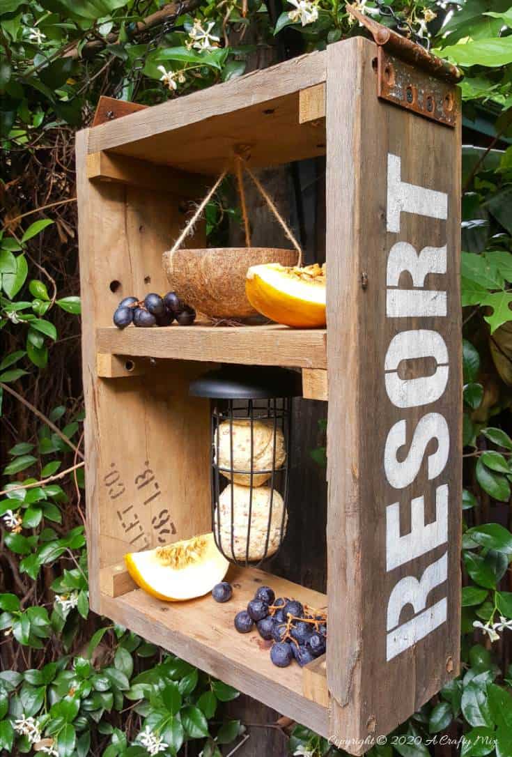 A DIY bird feeder is a great way to make your feathered friends feel at home and look after them when food sources are scarce. This rustic two-tier bird feeder is quick to put together and the tiers make it easy to serve them a smorgasbord of treats too. #DIYBirdFeeder #RecycledBirdFeeder #RusticBirdFeeder #aCraftyMix #Woodenbirdfeeder #PalletBirdFeeder #UniqueBirdFeeder