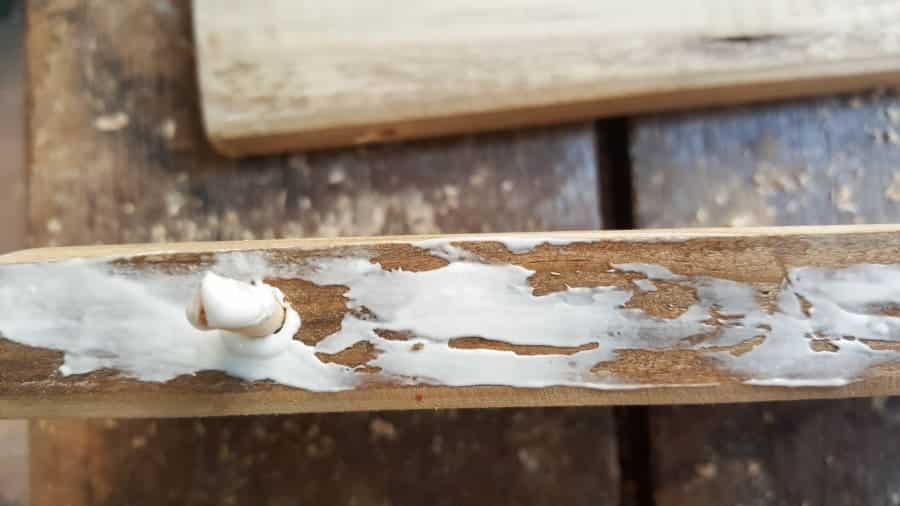 Add glue to the sides you'll be joining together