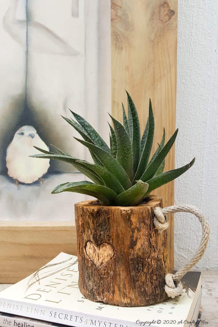 This eco-friendly branch mug planter is quick and easy to make and will add a touch of rustic elegance to your home decor. They make great gifts too #planterideas #acraftymix #ecofriendly #giftideas #branchrepurpose #branchmug