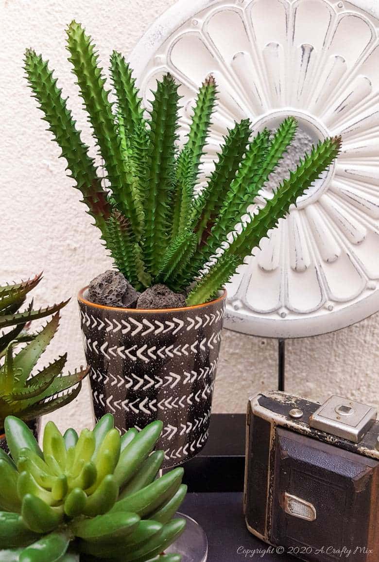 Turn trash into treasure and add a touch of class and whimsy to your d&eacute;cor with these gorgeous DIY broken wine glass stem planters. Easy to follow tutorial with step-by-step instructions