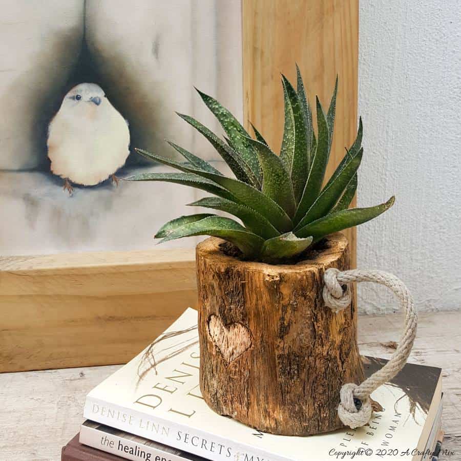 This eco-friendly branch mug planter is quick and easy to make and will add a touch of rustic elegance to your home decor. They make great gifts too #planterideas #acraftymix #ecofriendly #giftideas #branchrepurpose