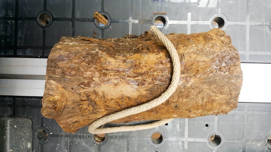 For this eco-friendly gift idea you'll need a thick branch and some rope