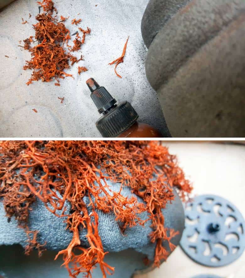 Glue moss on the hollow pumpkin