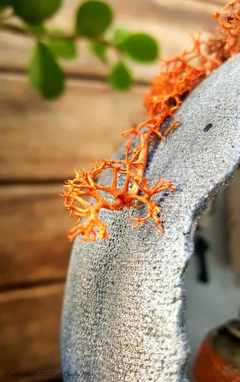 Ever wondered what happened to Cinderella’s pumpkin coach after she and the Prince got married and lived happily ever after? Those little mice turned it into their secret hideaway and they shared the tutorial on how they did it with us. #FalldecorDIY #Pumpkincoach #ACraftyMix #PumpkinDecor #PumpkinCrafts
