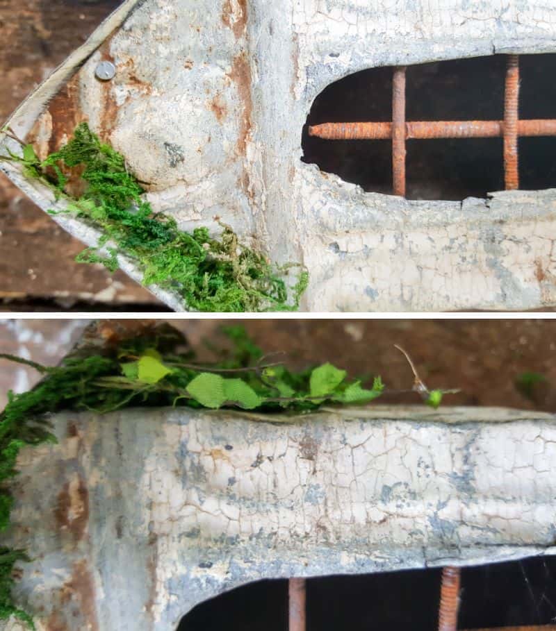 Glue moss and fairy vines under the eaves