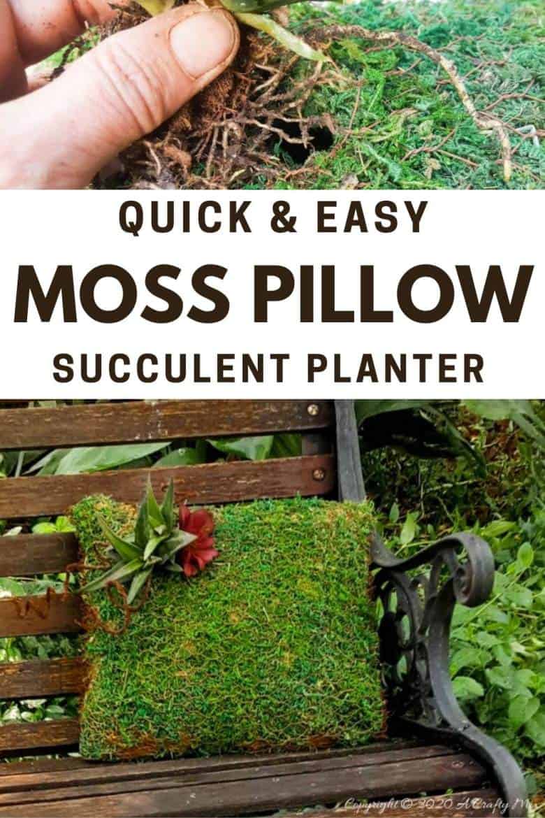 Take your garden decor to a whole new level with this beautiful succulent moss pillow planter. Not only is it easy to make but it also adds a magical touch to any outdoor space #gardendecor #mosspillow #acraftymix #succulentplanter #gardendecorideas