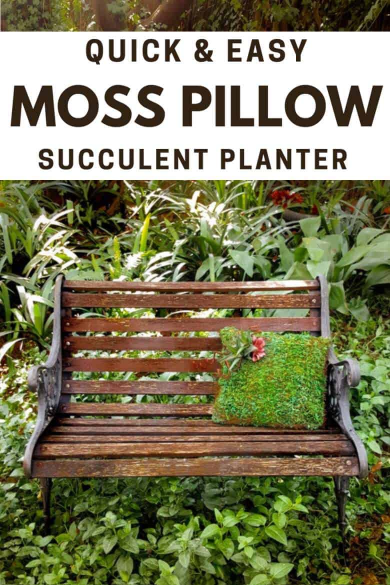 TTake your garden decor to a whole new level with this beautiful succulent moss pillow planter. Not only is it easy to make but it also adds a magical touch to any outdoor space #gardendecor #mosspillow #acraftymix #succulentplanter #gardendecorideas