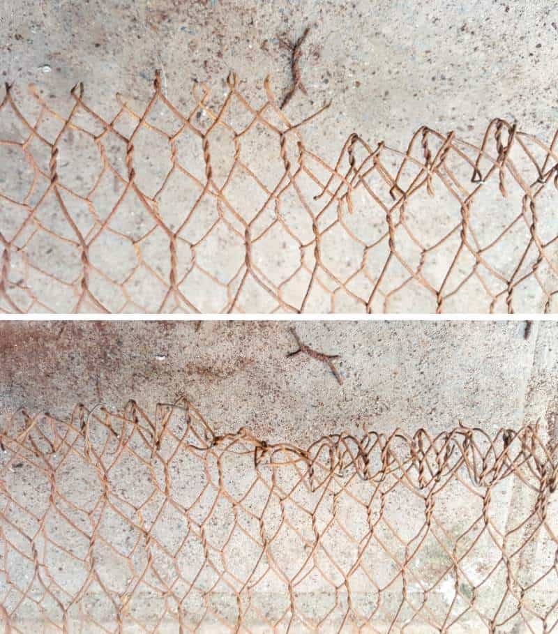 Fold the chicken wire over length wise