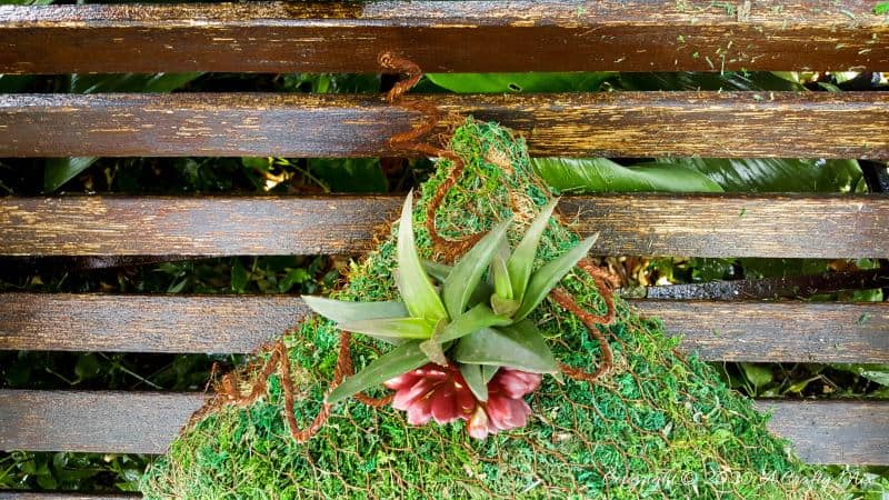 Take your garden decor to a whole new level with this beautiful moss pillow succulent planter. Not only is it easy to make but it also adds a magical touch to any outdoor space #gardendecor #mosspillow #acraftymix #succulentplanter #gardendecorideas