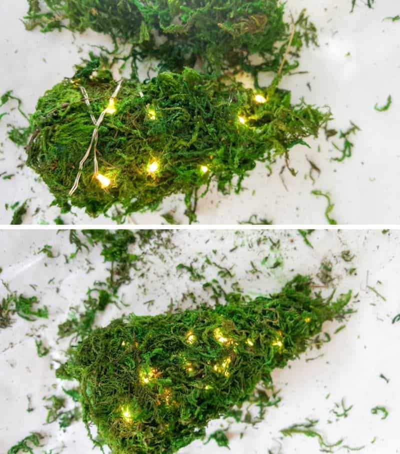 Wrap the small Christmas tree with fairy lights and glue on more moss to hide the wires