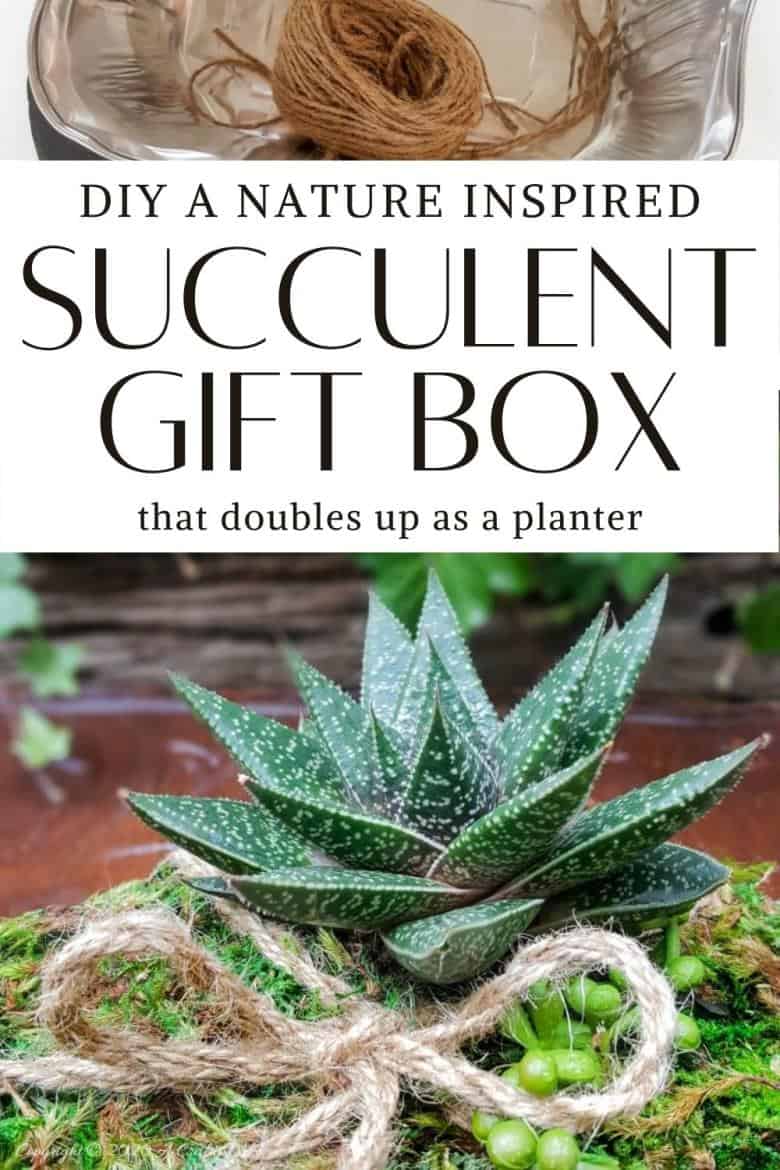 Quick, easy, and budget-friendly there’s nothing quite as special as gift that’s homemade and inspired by nature. And this Recycled Succulent Gift Box Planter ticks all of those boxes #PlanterGiftIdeas #SucculentPlanter #DIYGiftIdeas #ACraftyMix #DIYPlanter #RecycledPlanter