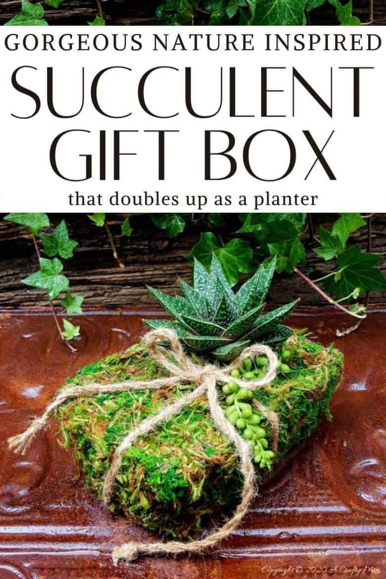 Quick, easy, and budget-friendly there’s nothing quite as special as gift that’s homemade and inspired by nature. And this Recycled Succulent Gift Box Planter ticks all of those boxes #PlanterGiftIdeas #SucculentPlanter #DIYGiftIdeas #ACraftyMix #DIYPlanter #RecycledPlanter