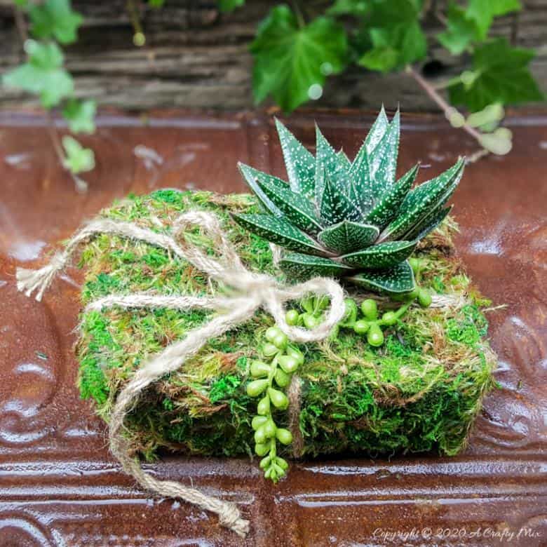 Quick, easy, and budget-friendly there’s nothing quite as special as gift that’s homemade and inspired by nature. #PlanterGiftIdeas #SucculentPlanter #DIYGiftIdeas #ACraftyMix #DIYPlanter #RecycledPlanter