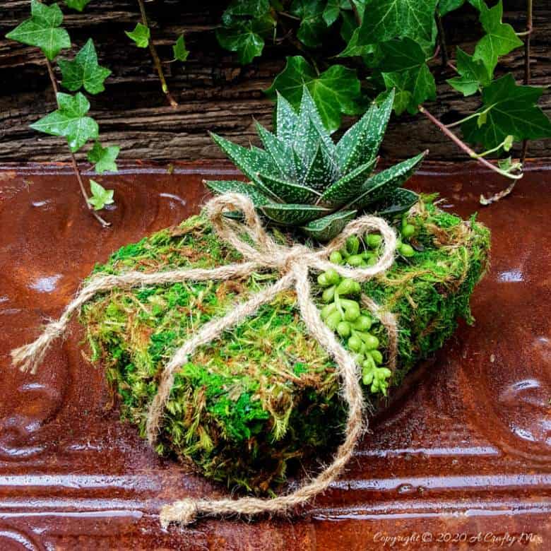 Quick, easy, and budget-friendly there’s nothing quite as special as gift that’s homemade and inspired by nature. #PlanterGiftIdeas #SucculentPlanter #DIYGiftIdeas #ACraftyMix #DIYPlanter #RecycledPlanter