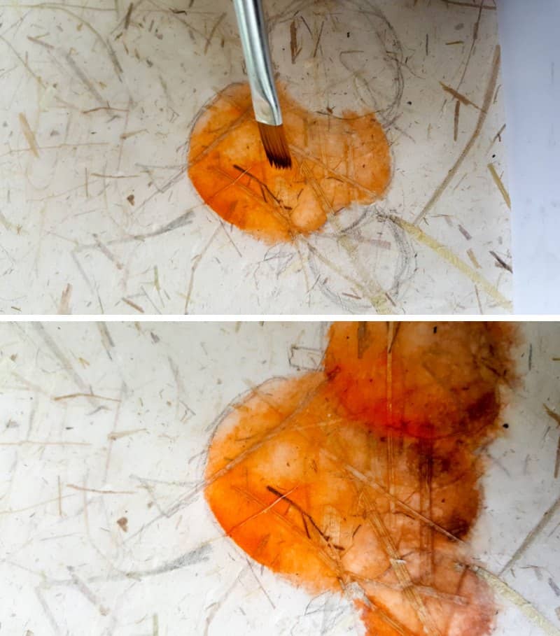 Use craft paint thinned down with water and color the pumpkins in