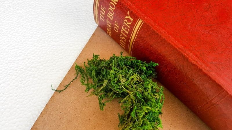 To create Christmas in a book you'll need hardboard, craft foam and a book as reference