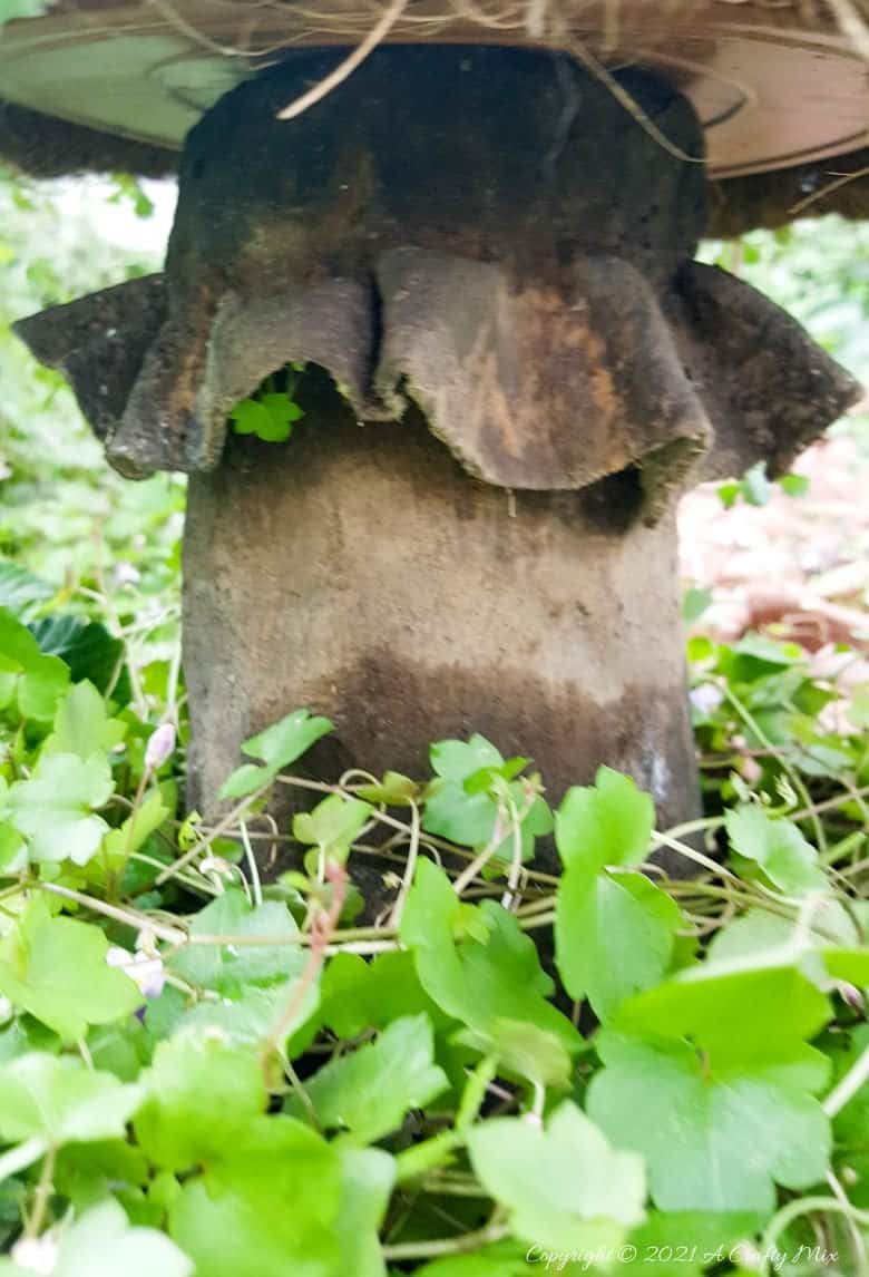 This living succulent mushroom planter is much easier to make than you might think. It takes a little time, but once those succulents take root and start spreading it puts on such a gorgeous display. #Succulentplanter #uniqueplanter #ACraftyMix #PlanterIdeas