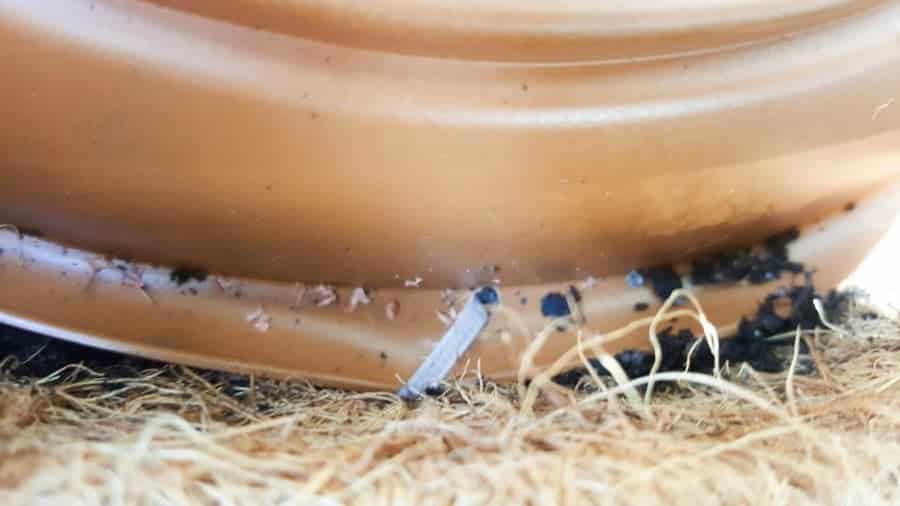 Attach the drip tray with cable ties