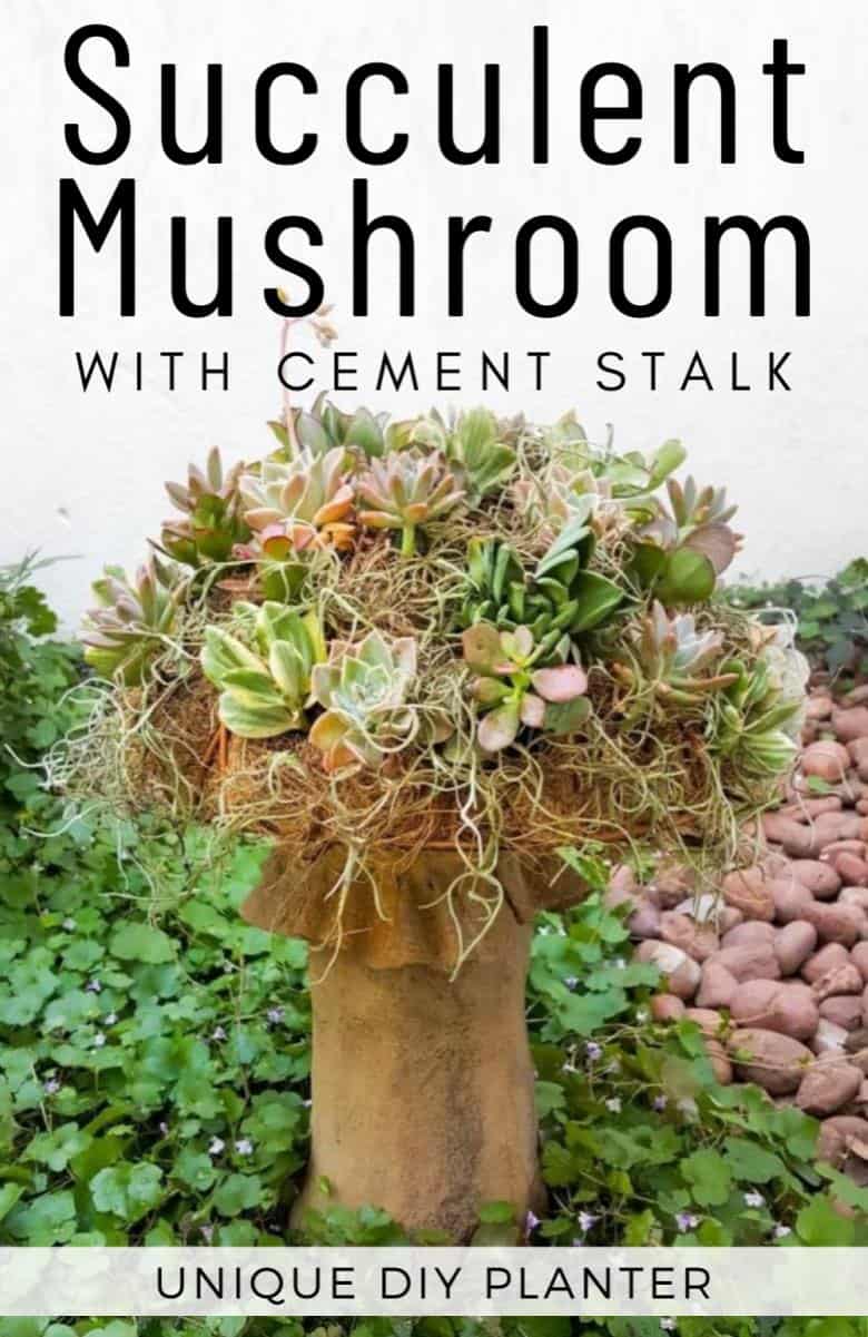 This gorgeous succulent mushroom planter is much easier to make than you might think. It takes a little time, but once those succulents take root and start spreading it puts on such a magical display. #Succulentplanter #uniqueplanter #ACraftyMix #PlanterIdeas