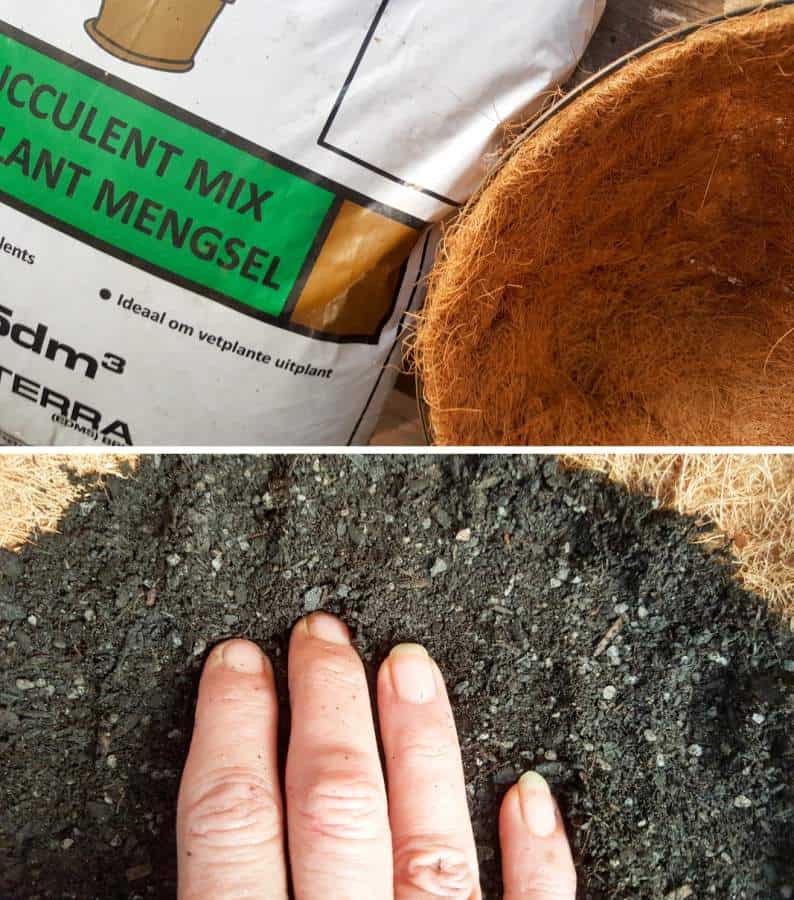 Fill the hanging baskets with enough potting soil and pat down firmly