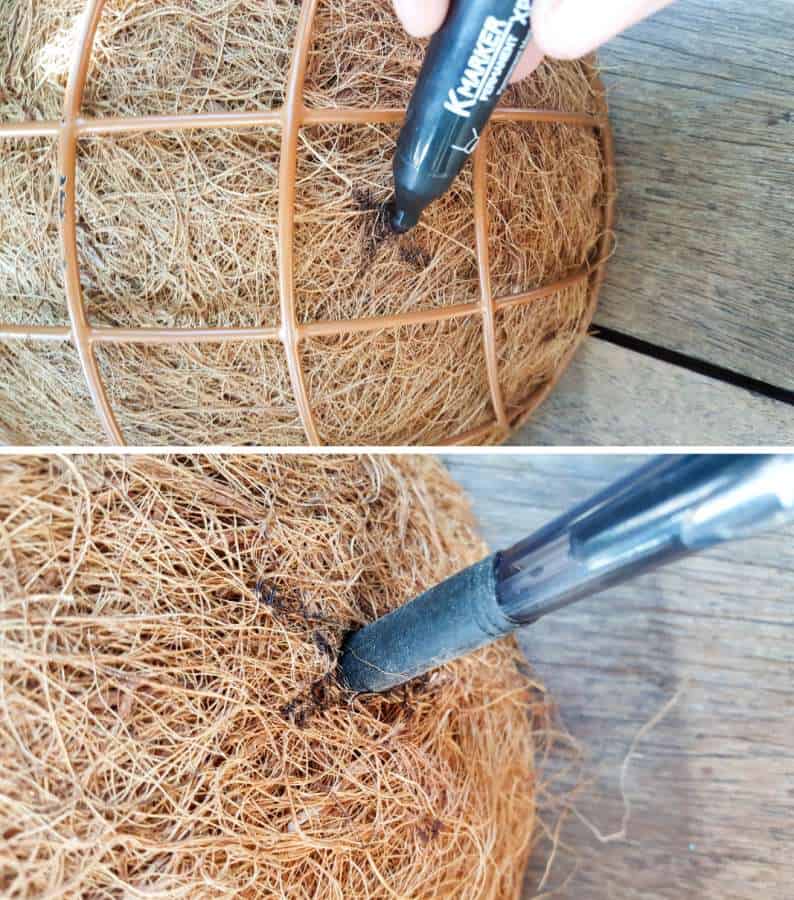 Use a pen to make poke holes in the coconut lining