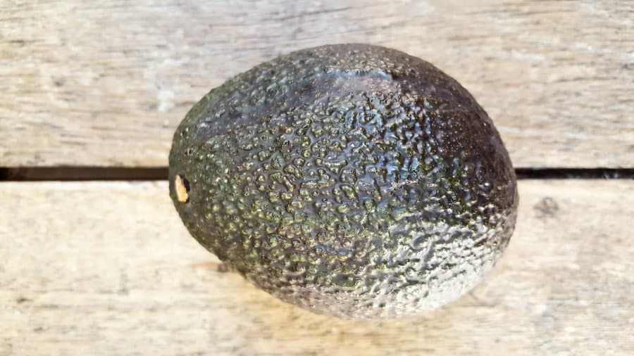 For this craft tutorial I used one avocado, with the flesh and pip removed