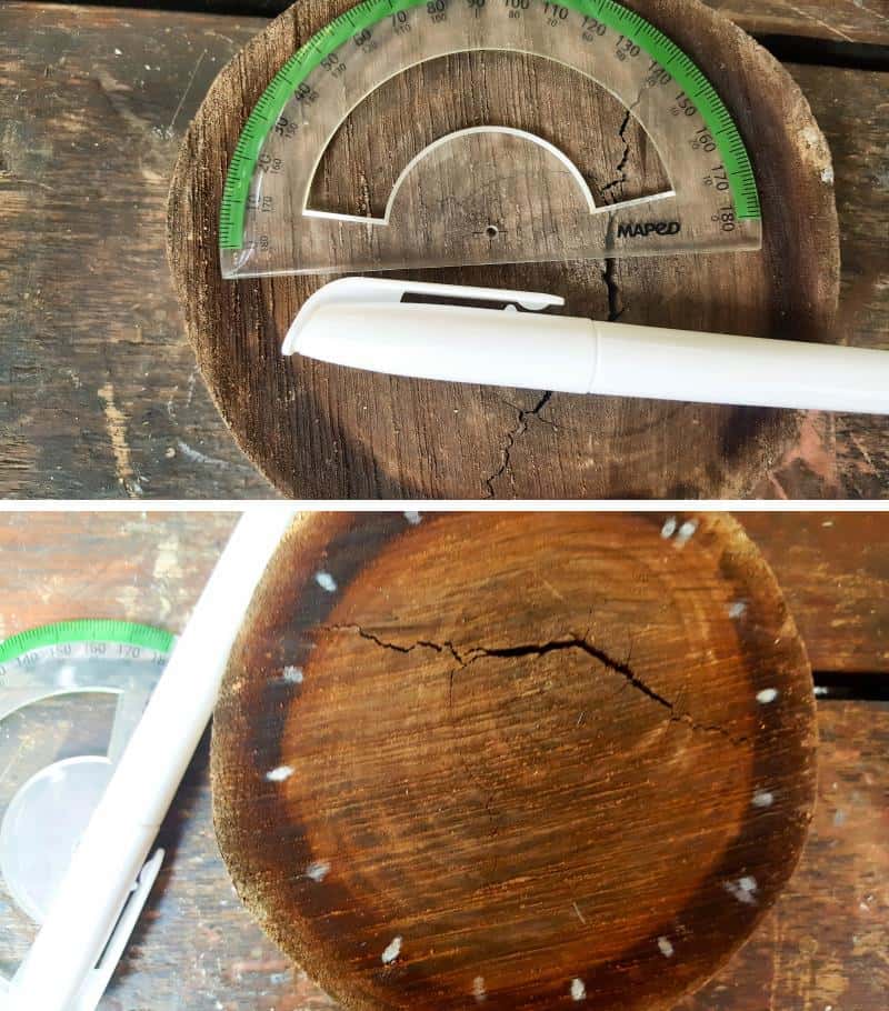 Use a protractor to mark around the wood slice