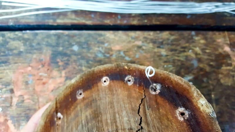 Make a small bend or loop in the wire.
