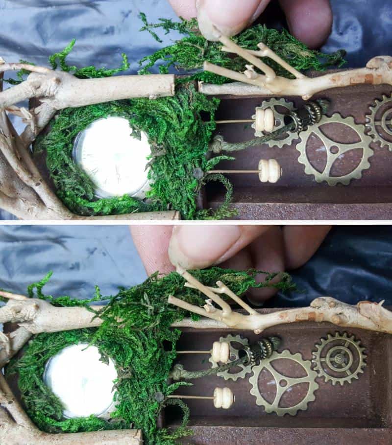Moss can be used to cover up any gaps between the twigs