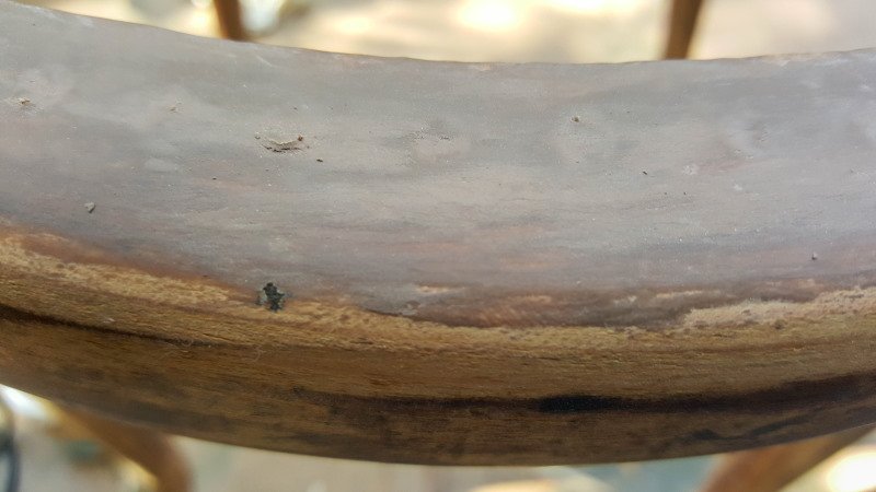 Add wood filler and leave to cure