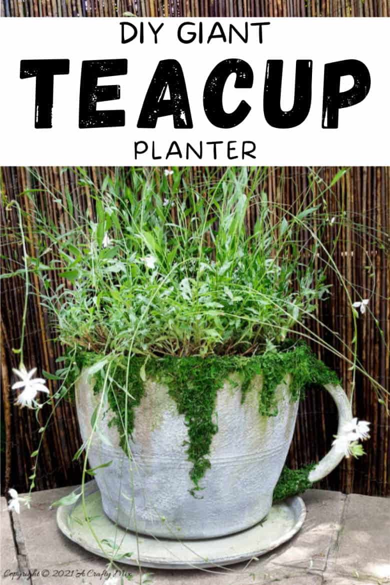 Make a statement in the garden with this DIY Oversized Teacup and Saucer Planter. You can also use it as a prop at your next Alice in Wonderland tea party. #TeacupPlanter #GiantTeaCup #ACraftyMix #DIYPlanter