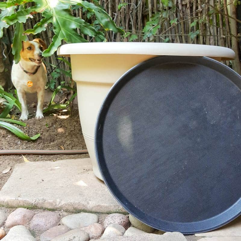 What you need to make a giant teacup and saucer