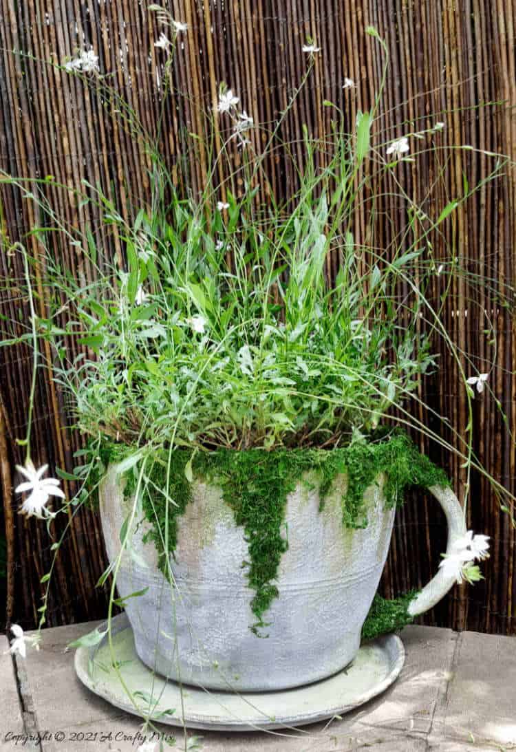 Make a statement in the garden with this DIY Oversized Teacup and Saucer Planter. You can also use it as a prop at your next Alice in Wonderland tea party. #TeacupPlanter #GiantTeaCup #ACraftyMix #DIYPlanter
