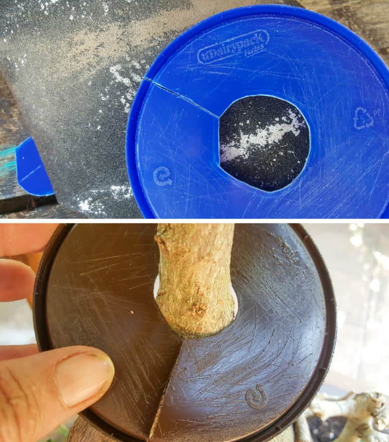 Sand the plastic lid before painting to ensure the paint sticks properly