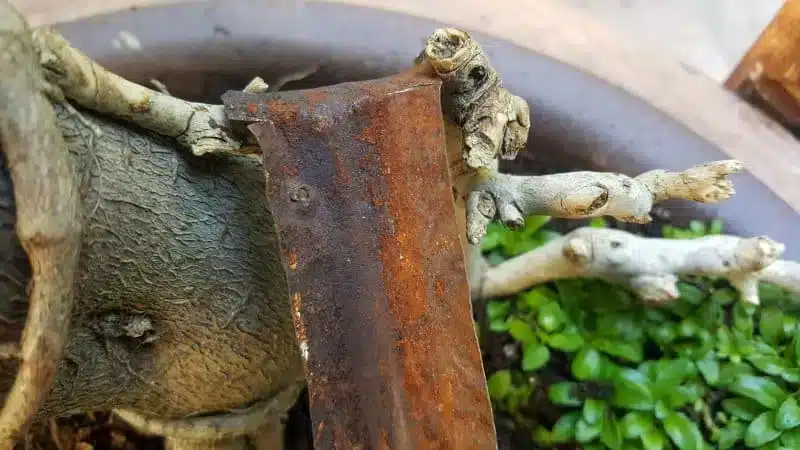 This photo-rich tutorial will show you how you can make your own fairy playground using what you have in your craft cupboard. No fancy tools needed and everything can be made in a morning #FairyGarden, #ACraftyMix, #Playground