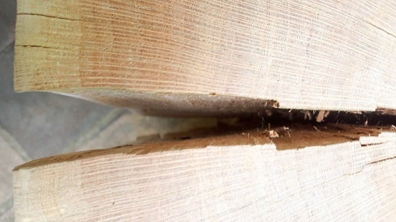 A top view of the crack in our tree stump
