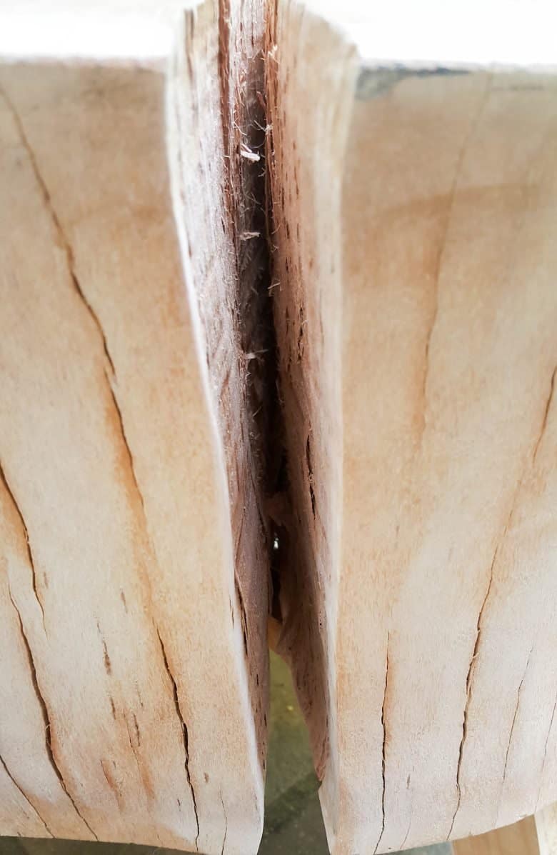 A side view of the big crack in our tree stump