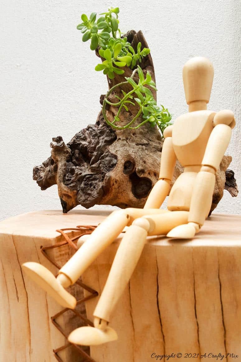 Do you have a gorgeous chunk of wood that&rsquo;s developed a HUGE crack? Don't toss it out until you've seen how easy it is to turn a cracked wooden stump into a d&eacute;cor worthy feature. #HomeDecor #ACraftyMix #CrackedWood