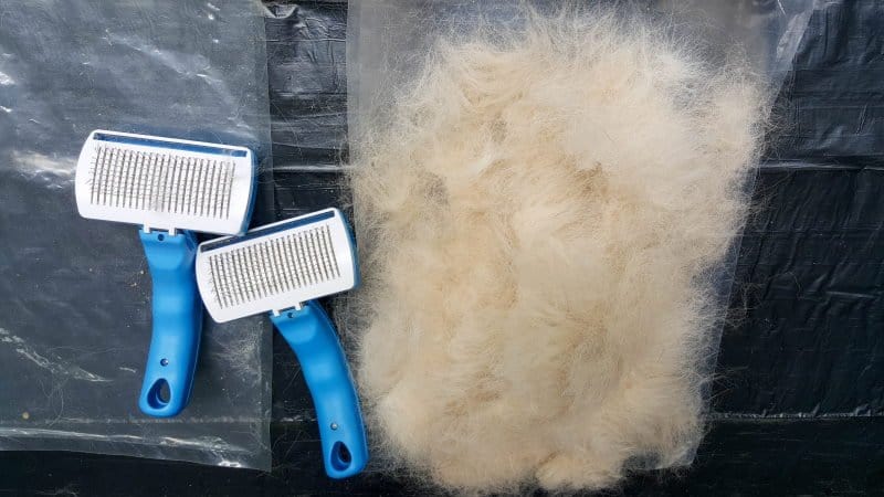 Collect the combed hair or fur in a pillow case or a breathable bag