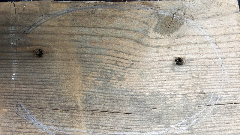 To make the junk birds, draw a blob shape on a thick piece of wood