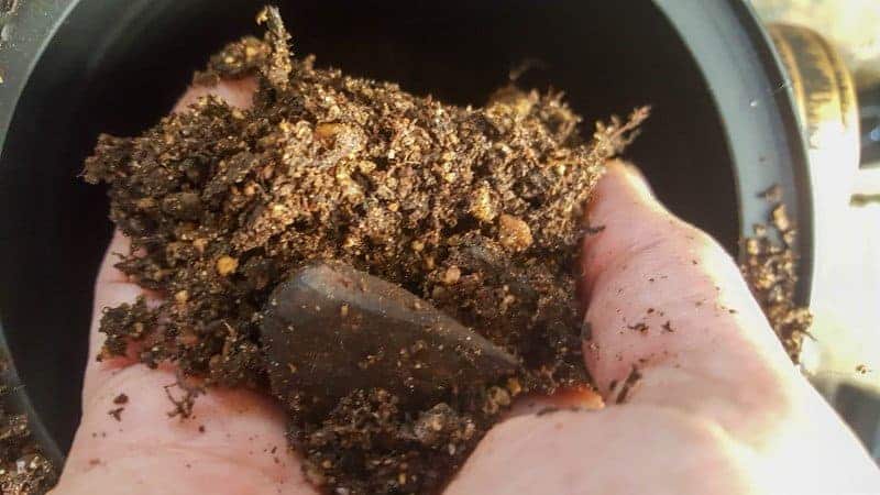 Fill the steampunk planter with soil